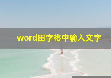 word田字格中输入文字