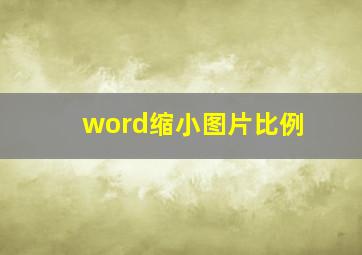 word缩小图片比例