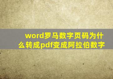 word罗马数字页码为什么转成pdf变成阿拉伯数字