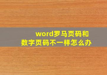 word罗马页码和数字页码不一样怎么办