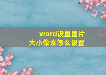 word设置图片大小像素怎么设置