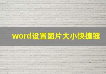 word设置图片大小快捷键