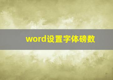 word设置字体磅数