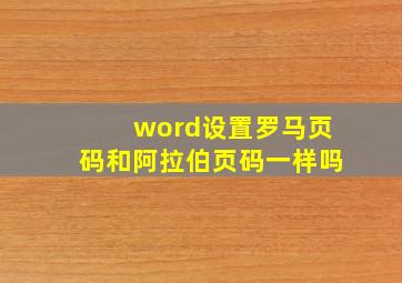 word设置罗马页码和阿拉伯页码一样吗