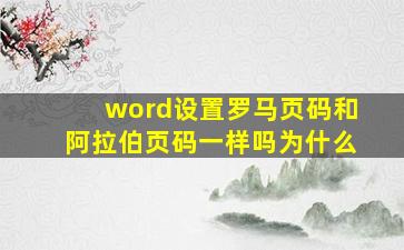 word设置罗马页码和阿拉伯页码一样吗为什么