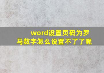 word设置页码为罗马数字怎么设置不了了呢