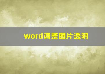 word调整图片透明