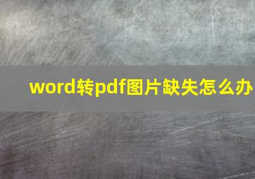 word转pdf图片缺失怎么办