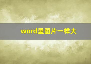 word里图片一样大