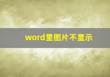 word里图片不显示