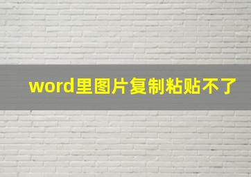 word里图片复制粘贴不了