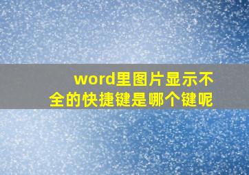 word里图片显示不全的快捷键是哪个键呢