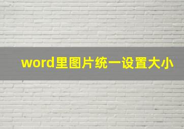 word里图片统一设置大小