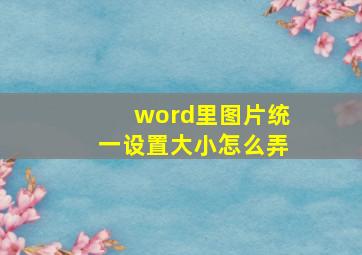 word里图片统一设置大小怎么弄