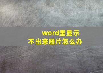 word里显示不出来图片怎么办