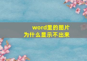 word里的图片为什么显示不出来