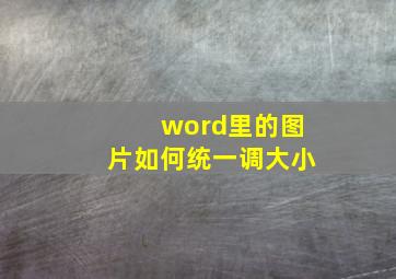 word里的图片如何统一调大小