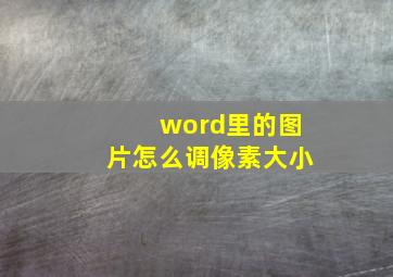 word里的图片怎么调像素大小