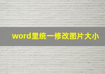 word里统一修改图片大小