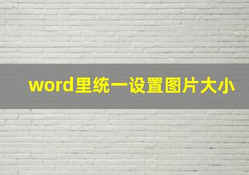 word里统一设置图片大小