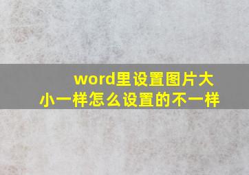 word里设置图片大小一样怎么设置的不一样