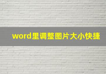 word里调整图片大小快捷