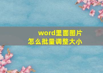 word里面图片怎么批量调整大小