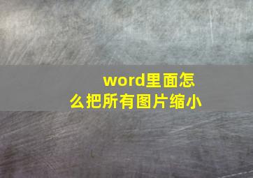 word里面怎么把所有图片缩小