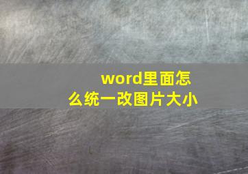 word里面怎么统一改图片大小