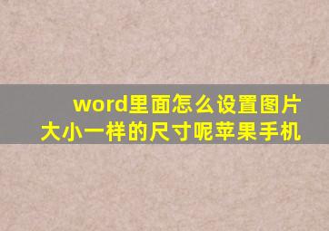 word里面怎么设置图片大小一样的尺寸呢苹果手机