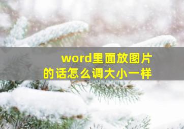 word里面放图片的话怎么调大小一样