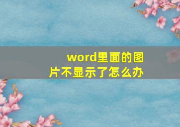 word里面的图片不显示了怎么办