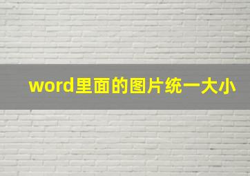 word里面的图片统一大小