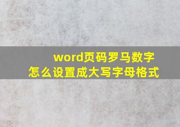 word页码罗马数字怎么设置成大写字母格式