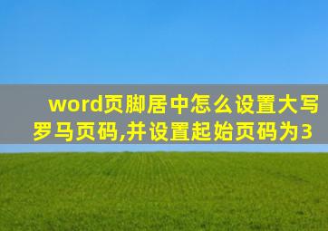 word页脚居中怎么设置大写罗马页码,并设置起始页码为3