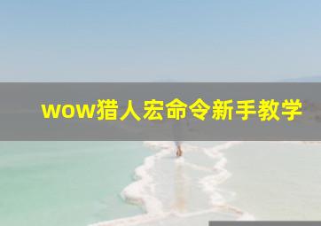 wow猎人宏命令新手教学