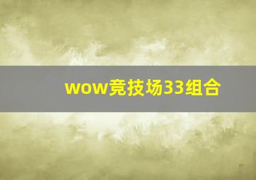 wow竞技场33组合