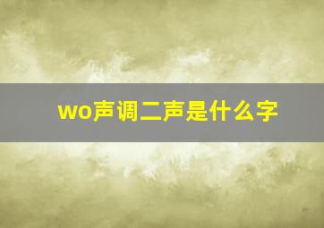 wo声调二声是什么字