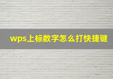 wps上标数字怎么打快捷键