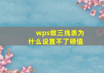 wps做三线表为什么设置不了磅值