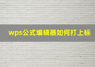 wps公式编辑器如何打上标