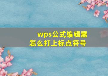 wps公式编辑器怎么打上标点符号