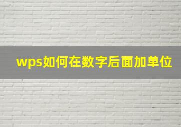 wps如何在数字后面加单位