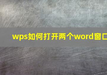 wps如何打开两个word窗口