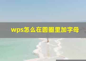 wps怎么在圆圈里加字母