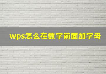 wps怎么在数字前面加字母