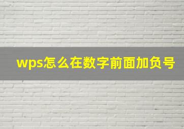 wps怎么在数字前面加负号