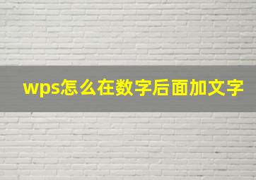 wps怎么在数字后面加文字