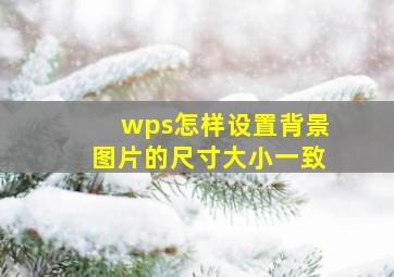 wps怎样设置背景图片的尺寸大小一致