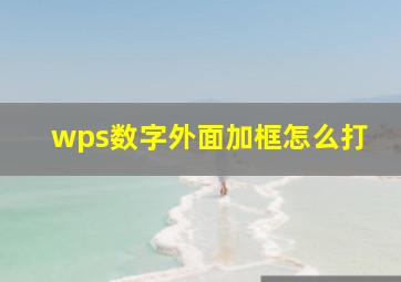 wps数字外面加框怎么打